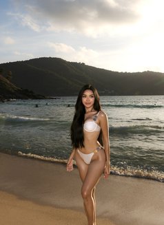 Mona Big ass - Transsexual escort in Phuket Photo 26 of 26