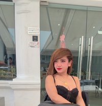 Mona Just Arrived 🇲🇾 - Transsexual escort in Muscat