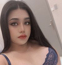 Mona Ladyboy so hot in al khobar - Transsexual escort in Khobar