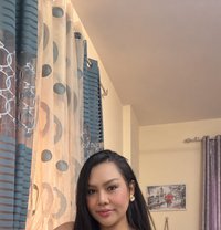 Mona New Lady - puta in Phuket