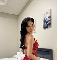Mona Ladyboy 🇹🇭 both - Transsexual escort in Khobar