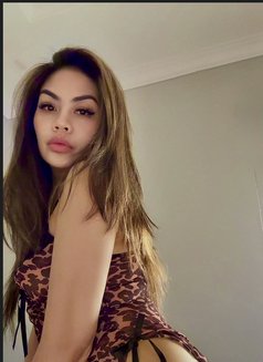 Mona sex anal 🇸🇦just Arrive khobar - escort in Khobar Photo 6 of 9