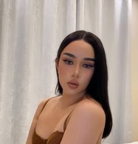 Mona Shemale & Ladyboys From Thailand - Transsexual escort in Dammam