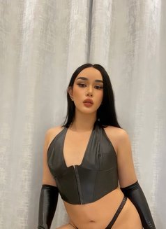 Mona Thailand ladyboys 🇹🇭 - Transsexual escort in Khobar Photo 3 of 12