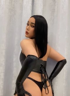 Mona Thailand ladyboys 🇹🇭 - Transsexual escort in Khobar Photo 4 of 12