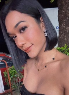 Monabel - Transsexual escort in Krabi Photo 8 of 9