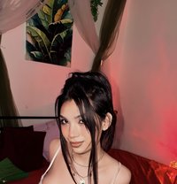 Monalisa - Transsexual escort in New Delhi