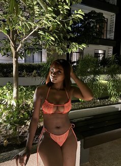 Monarch - escort in Dubai Photo 1 of 3