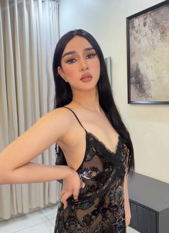 MonaThai ladyboy Big Ass - Transsexual escort in Jeddah Photo 7 of 14