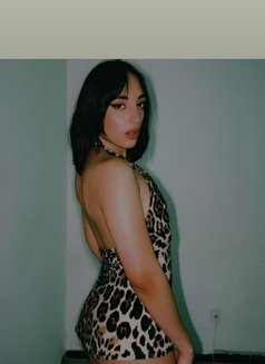 Monchka Momo - Transsexual escort in Tunis Photo 3 of 3