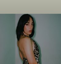 Monchka Momo - Acompañantes transexual in Tunis