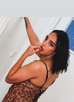 Monchka Momo - Transsexual escort in Tunis Photo 5 of 5