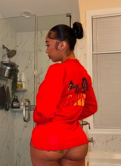 Mongana - puta in Seoul Photo 3 of 4