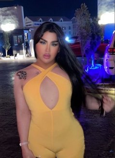 Moni shemale - Transsexual escort in Erbil Photo 4 of 9