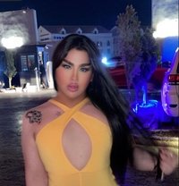 Moni shemale - Transsexual escort in Erbil