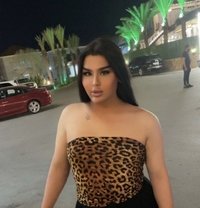 Moni shemale - Transsexual escort in Erbil