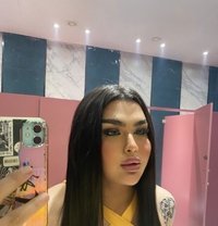 Moni shemale - Transsexual escort in Erbil