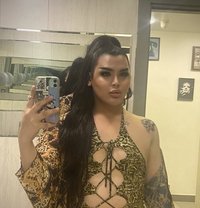 Moni shemale - Transsexual escort in Erbil