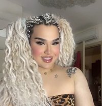 Moni shemale - Transsexual escort in Erbil