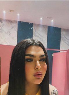شيميل كادي - Acompañantes transexual in Erbil Photo 7 of 8