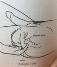 Prostate ,nuru,Four Hand Massage - escort in Al Manama Photo 3 of 15