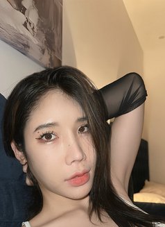 Monica Half Thai-Taiwan - escort in Jeddah Photo 2 of 6