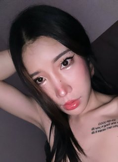 Monica Half Thai-Taiwan - escort in Jeddah Photo 9 of 9