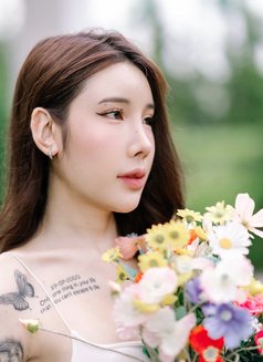 Monica Half Thai-Taiwan - escort in Jeddah Photo 3 of 20