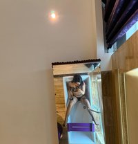 Monica - escort in Bali