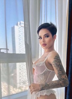 Monica Ladyboy Thailand - Transsexual escort in Abu Dhabi Photo 7 of 8