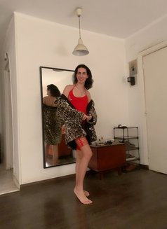 Monica - Acompañantes transexual in Cairo Photo 9 of 9