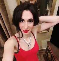 Monica - Transsexual escort in Cairo
