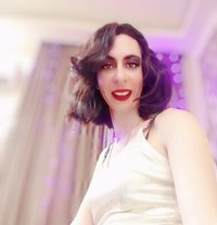 Monica - Transsexual escort in Cairo