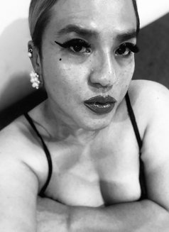 Monica Marquez - Acompañantes transexual in Shenzhen Photo 1 of 5