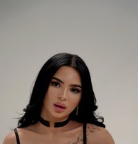 Monica - Transsexual escort in İstanbul