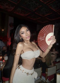 Monica Sexy In Bangkok now - Transsexual escort in Bangkok Photo 1 of 20