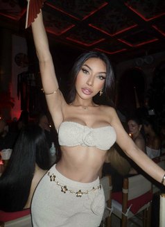 Monica Sexy In Bangkok now - Transsexual escort in Bangkok Photo 3 of 20