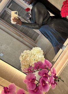 Monicadxb - escort in Dubai Photo 4 of 5