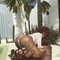 EBONY AFRICA TS - Acompañantes transexual in Bali Photo 2 of 30