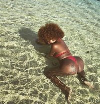 EBONY AFRICA TS - Acompañantes transexual in Bali Photo 19 of 30