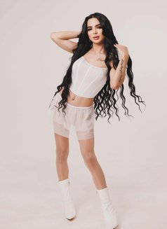Monikaaa - Acompañantes transexual in İstanbul Photo 5 of 6