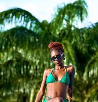 Monique - escort in Bali