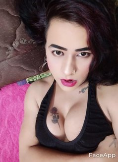Monitha Reddy - Transsexual escort in Hyderabad Photo 1 of 1