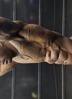 Monroe Black luxury Vip - Male escort in Dubai Photo 15 of 19