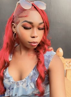 Monroe - Transsexual escort agency in Nairobi Photo 8 of 10