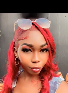 Monroe - Transsexual escort agency in Nairobi Photo 10 of 10