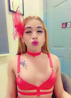 Monster Queen - Transsexual escort in Hyderabad Photo 17 of 21