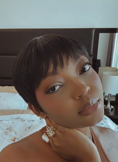 Montana - escort in Dubai Photo 1 of 1