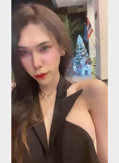Monyciana - Acompañantes transexual in Bangkok Photo 3 of 5