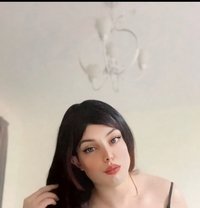 نور شيميل Moonlight - Transsexual escort in Muscat